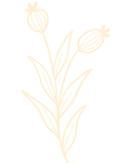 Illustration fleur